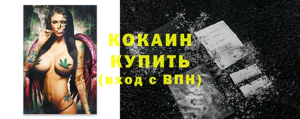 гидра Новозыбков