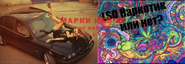 прущие грибы Алексин